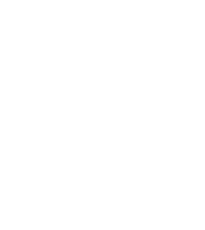 anagrama neuroorigen